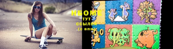 индика Алексин