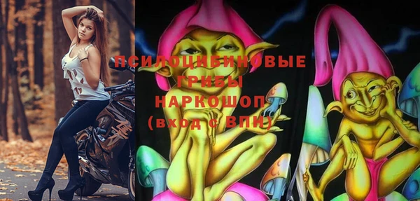 индика Алексин