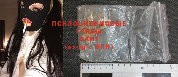 индика Алексин