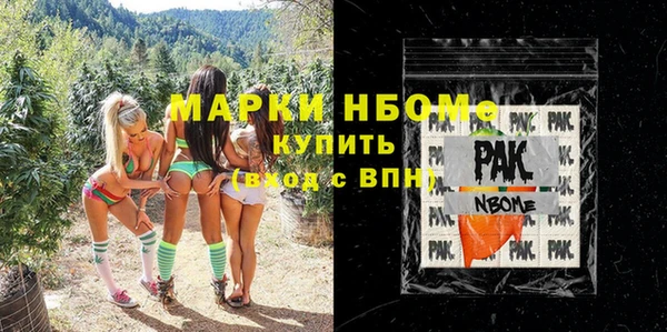 индика Алексин
