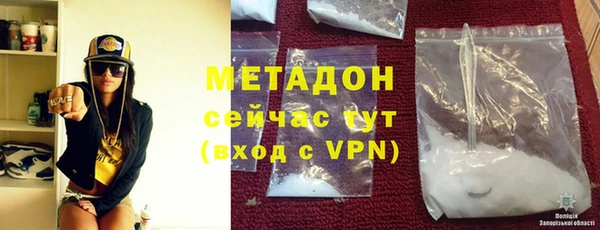 индика Алексин