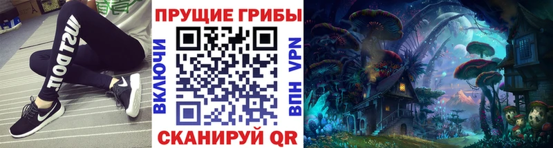 kraken рабочий сайт Санкт-Петербург Галлюциногенные грибы Magic Shrooms