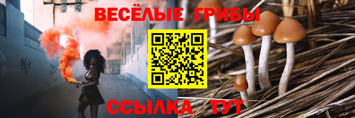 Санкт-Петербург  Галлюциногенные грибы GOLDEN TEACHER  Вход с VPN 