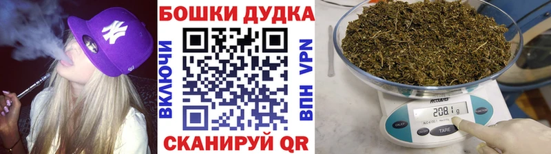 наркота  Санкт-Петербург  это как зайти  Бошки Шишки план 